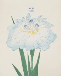 U-Chu, Nr. 25, 1898