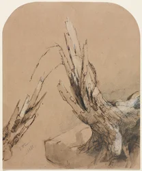 Ein abgestorbener Baum (recto) Grundriss (verso)