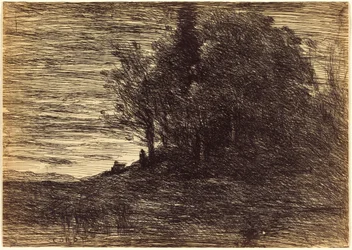 Der Wald des Einsiedlers
