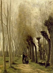 Die Weiden von Marissel