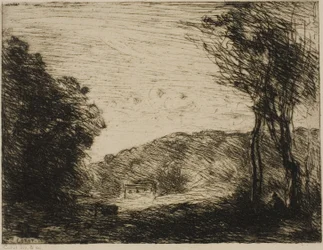 Bewaldete Landschaft