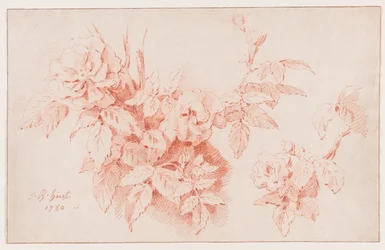 Rosen
