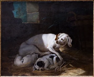 Hund, der ihre Jungen säugt