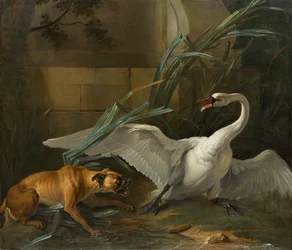 Schwan von einem Hund angegriffen