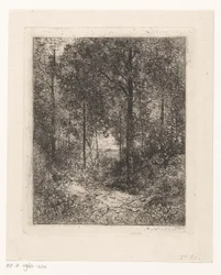 Waldansicht