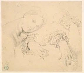 Blatt mit Studien des Kopfes der Fornarina und der Hände von Madame de Senonnes