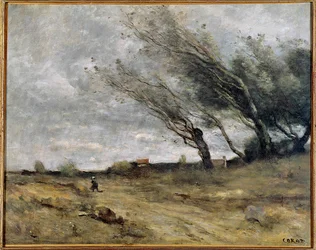Sturm