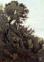 Marino - Bäume und Felsen