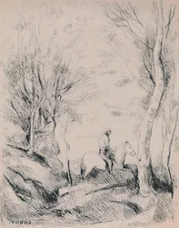 Der Reiter im Wald
