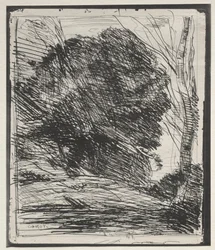 Bäume auf dem Berg, Originaldruck 1856, gedruckt 1921