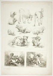 Tafel Acht von 38 aus Oeuvres de J. B. Huet