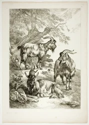 Tafel Siebzehn von 38 aus Oeuvres de J. B. Huet