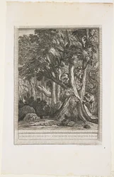 Der Drache mit vielen Köpfen, Fabel XII, ca. 1753-1755