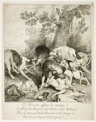 Der Wolf in der Enge