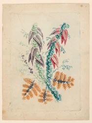 Fantastisches Blumenmotiv aus "Nouvelle Suitte de Cahiers de fleurs idéales"