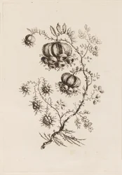 Blütenzweig, aus "Fleures Persannes"