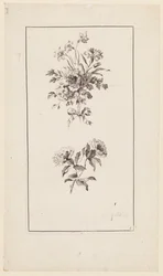 Blumenzweige, aus "Divers Bouquets d