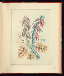 Ornamentales Design mit dreieckigen lila und roten Blättern, aus Nouvelle suite de cahiers de flerurs naturelle a l