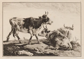 Platte 2, aus "Cahier de Six Feuilles de Boeufs et Vaches"