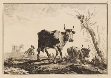 Tafel 5, "Cahier de Six Feuilles de Boeufs et Vaches"