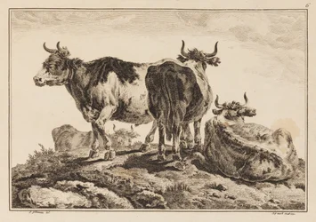 Tafel 6, aus "Cahier de Six Feuilles de Boeufs et Vaches"