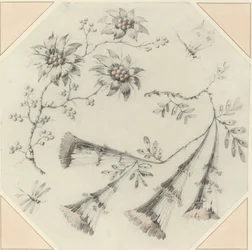 Trompetenblumen und Gänseblümchen