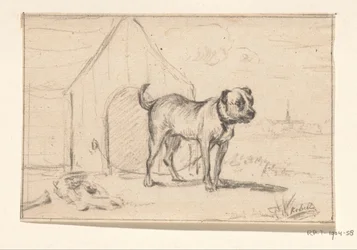 Angeleinter Hund vor seiner Hütte stehend