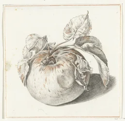 Apfel