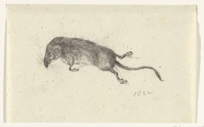 Tote Maus
