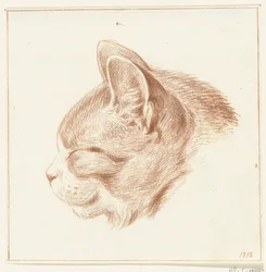 Kopf einer Katze, nach links