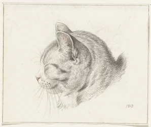 Kopf einer Katze, nach links