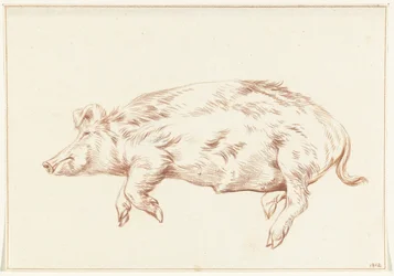 Liegendes Schwein, nach links