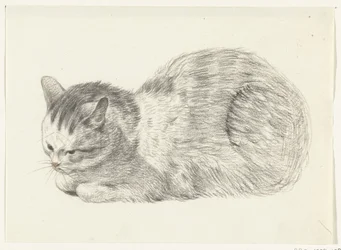 Liegende Katze, nach links