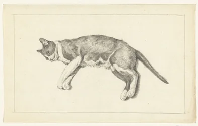 Liegende Katze, nach links, von oben gesehen