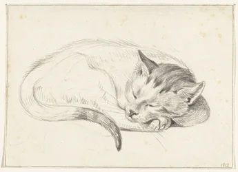 Zusammengerollte, schlafende Katze