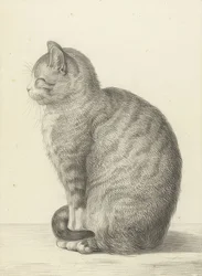 Sitzende Katze, nach links
