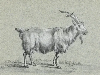Stehende Ziege von Jean Bernard