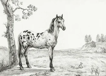 Stehendes geschecktes Pferd