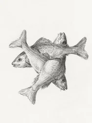 Drei Fische (1775–1833)