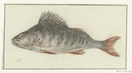 Fisch