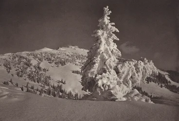 Rigi Kaltbad, Skigebiet bis Rigi Kulm