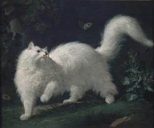 Angorakatze jagt einen Schmetterling, ca. 1760