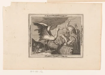 Störche (Tierdarstellungen)
