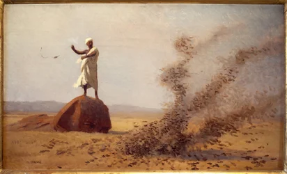 Arabische Vogelscheuche. (Unvollendetes Bild)