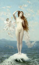Venus erhebt sich