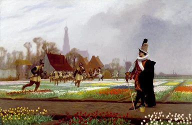 Die Tulpenmanie