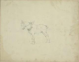 Zugpferd