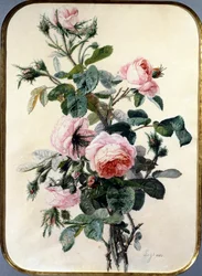 Die Rosen