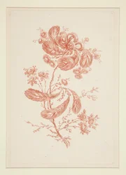 Ohne Titel (Ideale Blumen), aus einem Satz von sechs