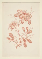 Ohne Titel (Ideale Blumen), aus einem Satz von sechs